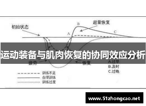 运动装备与肌肉恢复的协同效应分析